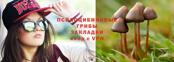 твердый Алексеевка