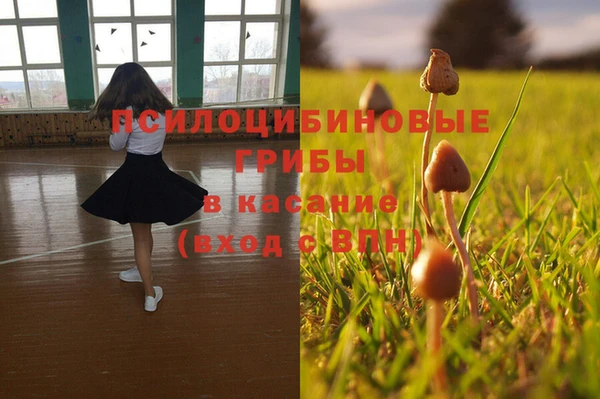 гидропоника Алзамай