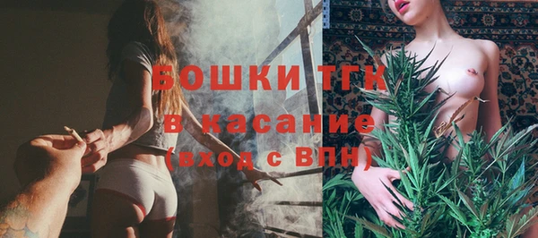 твердый Алексеевка